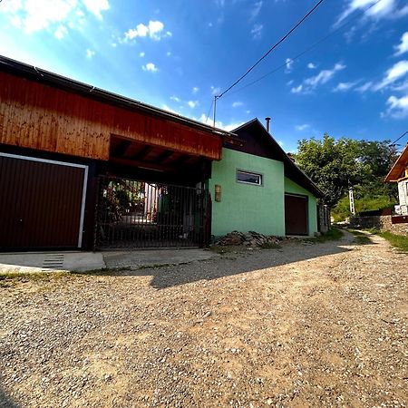 Villa Casa Camelia Nehoiu Esterno foto