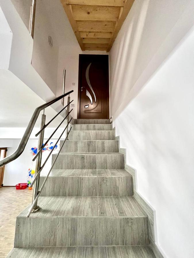 Villa Casa Camelia Nehoiu Esterno foto