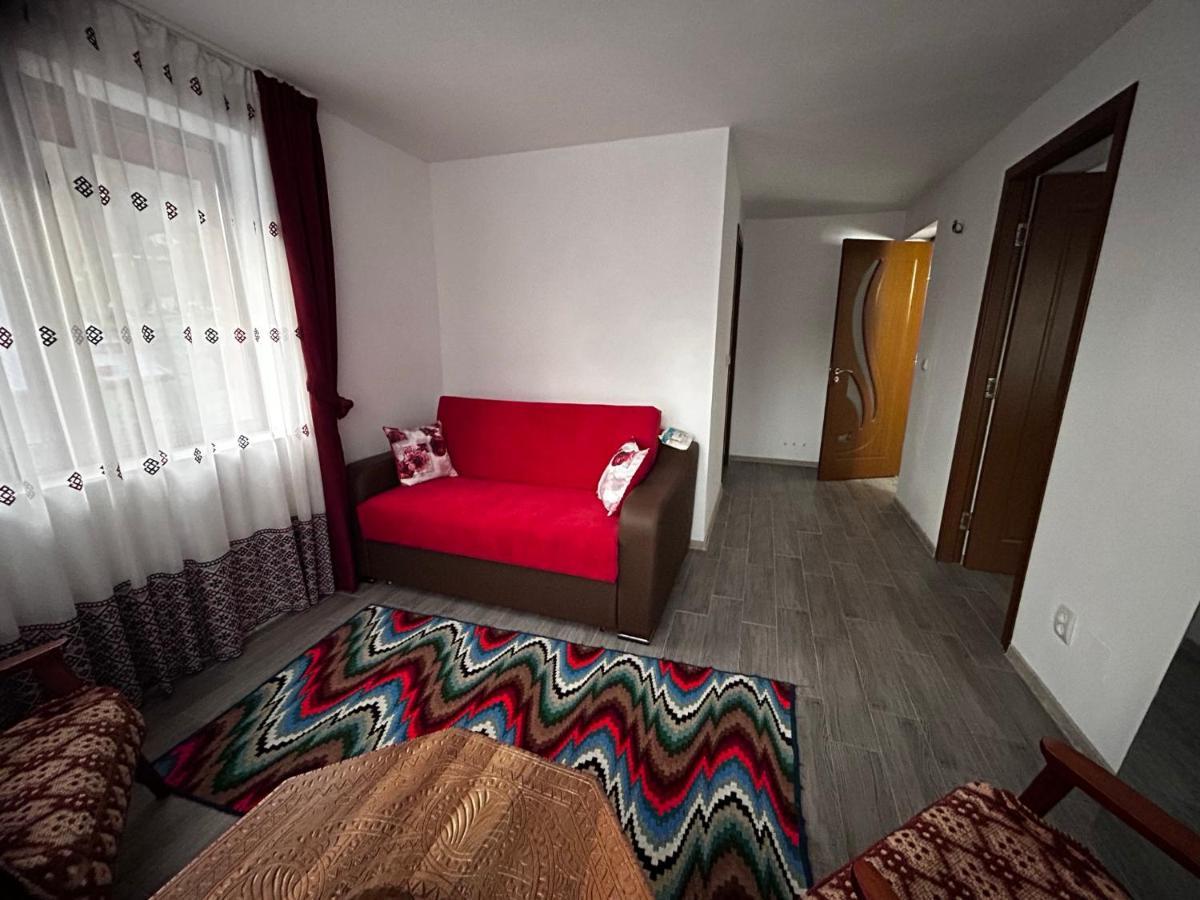 Villa Casa Camelia Nehoiu Esterno foto