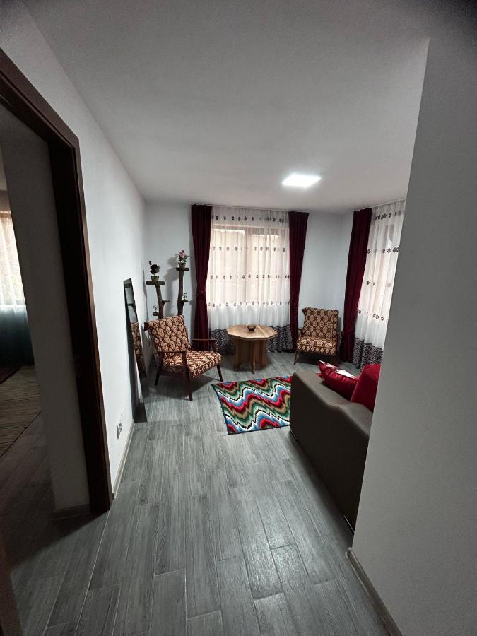 Villa Casa Camelia Nehoiu Esterno foto