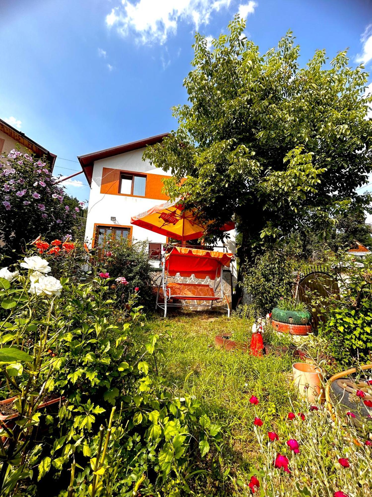 Villa Casa Camelia Nehoiu Esterno foto