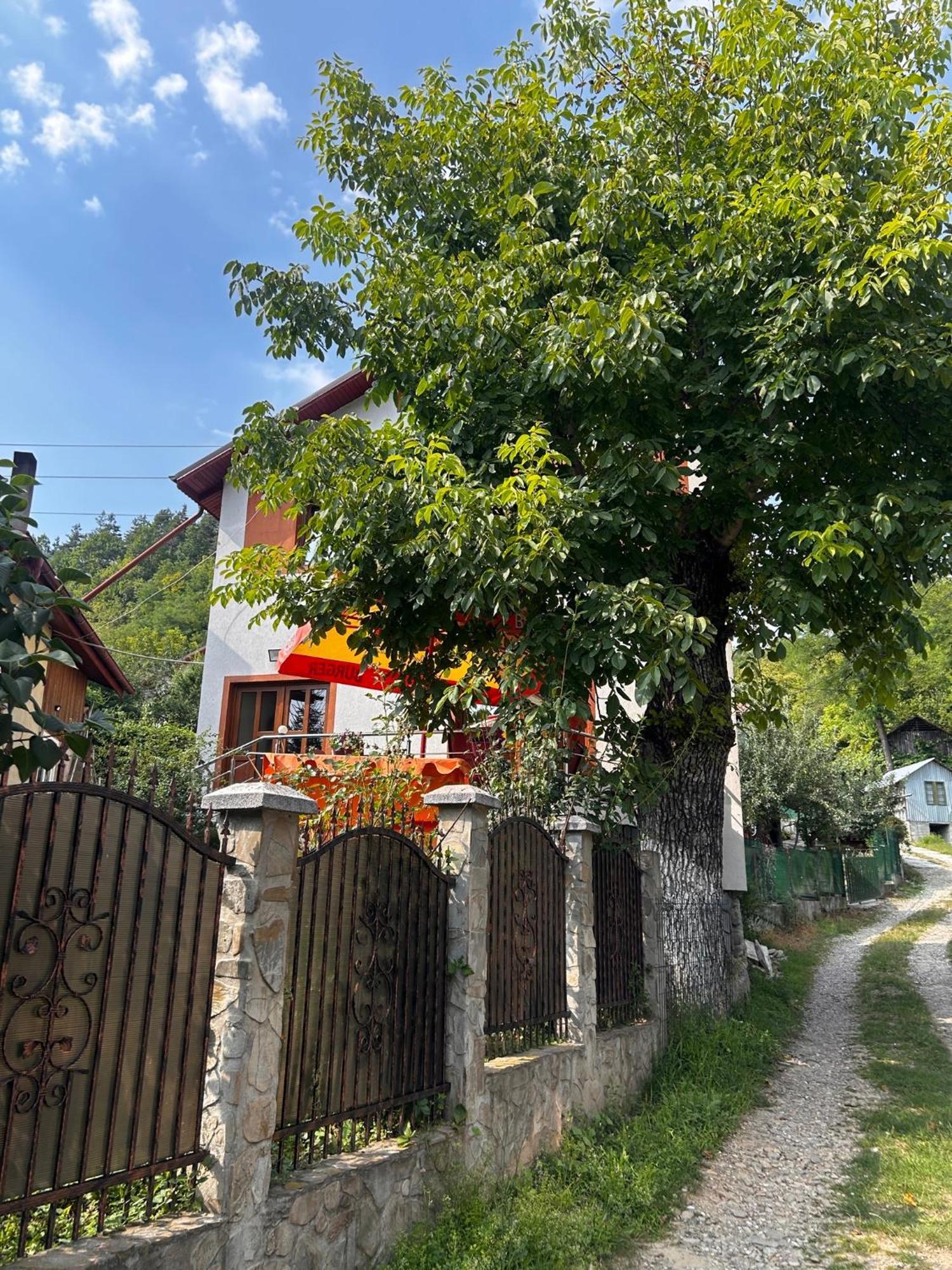 Villa Casa Camelia Nehoiu Esterno foto